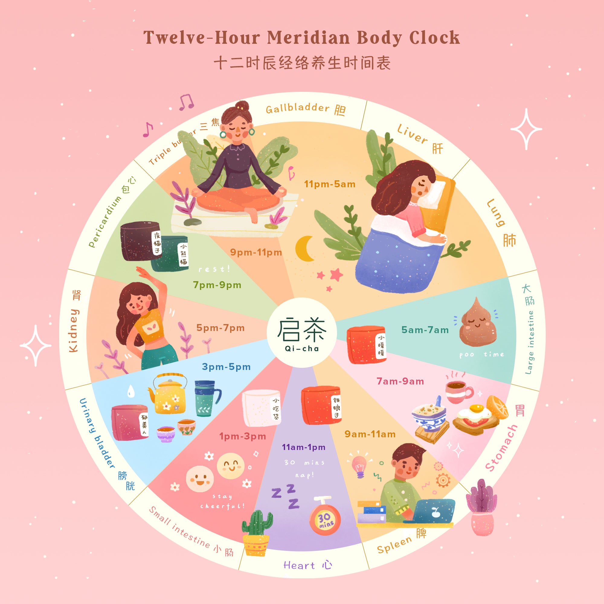 Twelve Hour Meridian Body Clock 十二时辰经络养生时间表