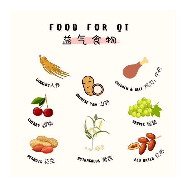 气虚体质与益气食物 Qi Deficiency and Food For Qi Nourishing